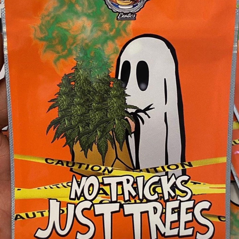 Meet your Posher, Malcolm